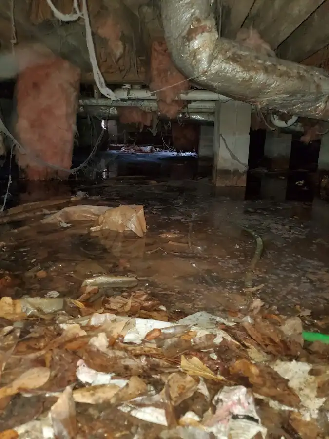 Crawl space flood assessment for Leak Detection & Repair in Brentwood