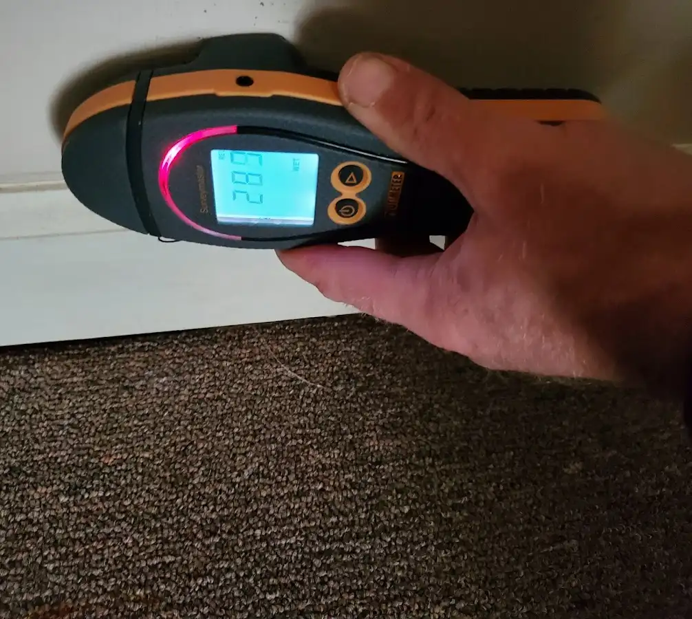 Moisture detection at baseboard during Mold Inspection & Testing in Brentwood